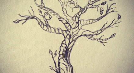 Drawing of a twisted old tree.